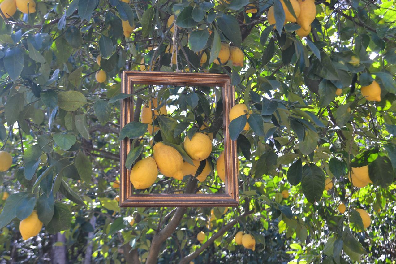 Bed and Breakfast Sorrento Experience Экстерьер фото