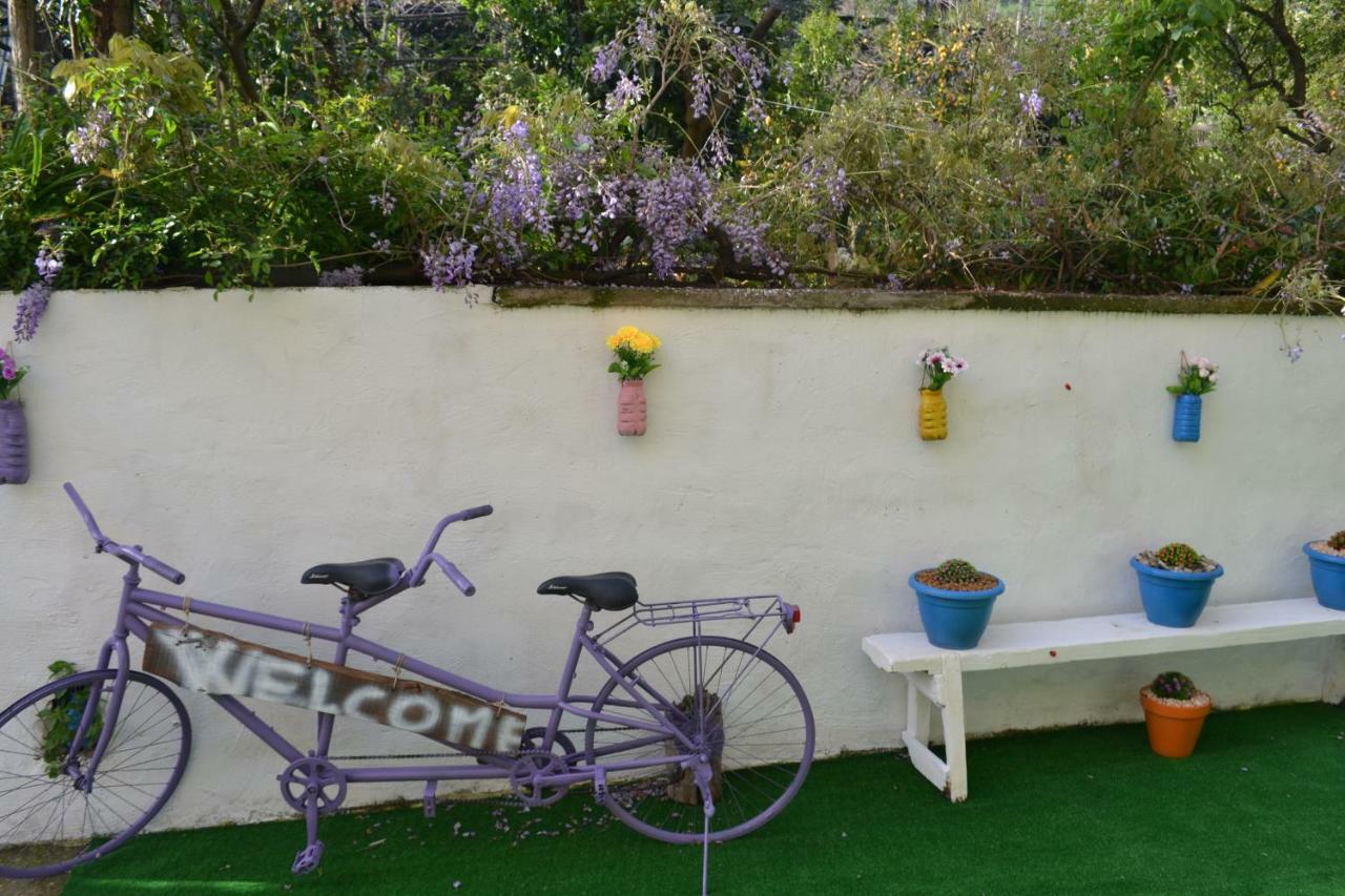 Bed and Breakfast Sorrento Experience Экстерьер фото